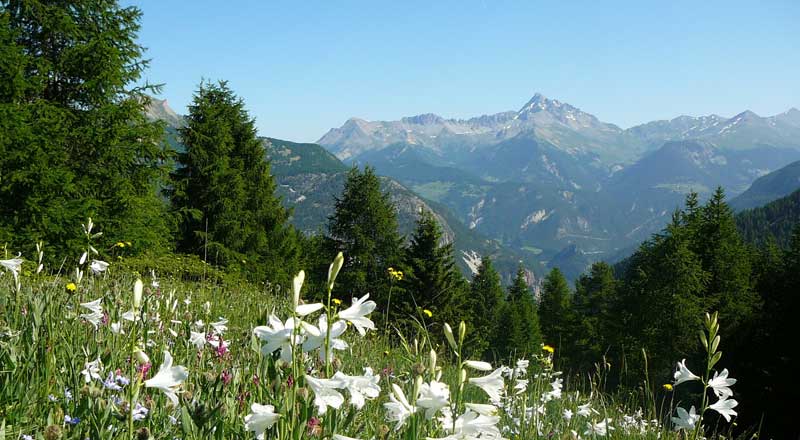 vue montagne hautes alpes